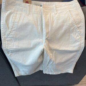 White Urban Pipeline Shorts (32 with 9in seam)